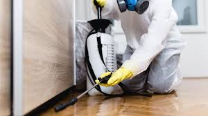 Trusted Muenster, TX Pest Control Experts